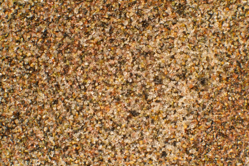 Nederland, Noord-Holland, Petten